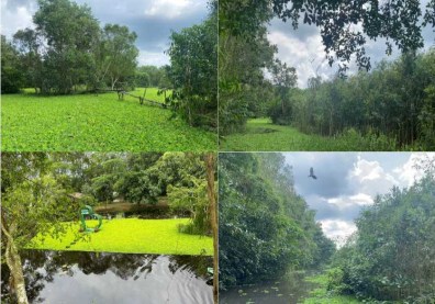 khu-du-lich-nong-truong-mua-xuan