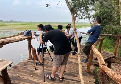 tram-chim-dong-thap-1