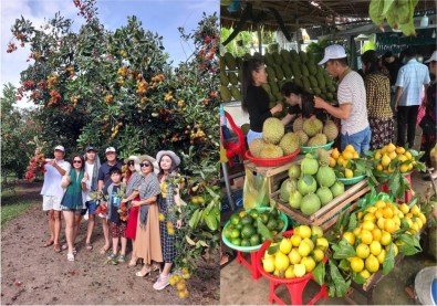 vuon-trai-cay-con-son9